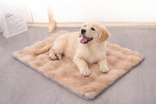 Calm Fluffy Mat 🐾 | Soft Cozy Comfort for Dogs & Cats
